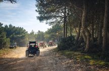 Pula Buggy Adventure Off-Road Safari at Kamenjak