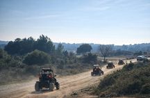 Pula Buggy Adventure Off-Road Safari at Kamenjak