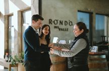 VIP Tasting: Wines from Rondo del Valle in an Underground Cellar