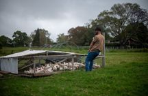 Regenerative Farm Tour on Maui