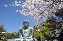 Kamakura Day Tour