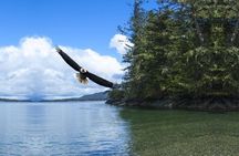 Scenic and Wildlife Tour