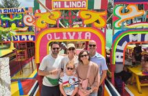 Private Tour to Xochimilco and Coyoacan Custom with Transportation