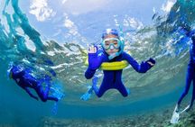 Half-Day Outer Reef Snorkelling Tour
