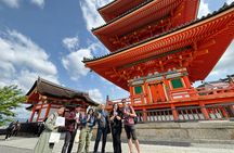 Kyoto Guided Walking Tour Highlight of Kiyomizu & Fushimi Inari