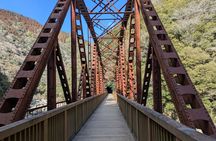 Takedao Railway Hike and Ikeda Torii Gate Tour