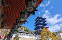Takedao Railway Hike and Ikeda Torii Gate Tour