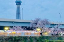 Tokyo Bay Spring Cherry Blossom-Themed Cruise Japan Show,Meal