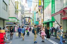 Akihabara Anime & Game Adventure Walking Tour (Group or Private)