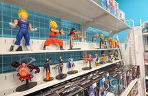 Akihabara Anime & Game Adventure Walking Tour (Group or Private)