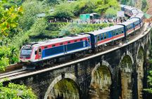 Day Tour at Sri Lanka Elephant Home and Little Adam's Peak