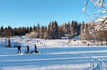 Oslo's Norwegian Food Tour: Local Chef & Forest Feast