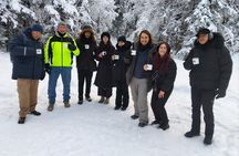 Oslo's Norwegian Food Tour: Local Chef & Forest Feast