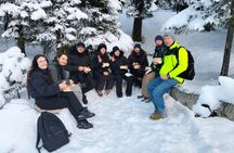 Private Chef Forest Dinner: Authentic Norwegian Food Tour in Oslo