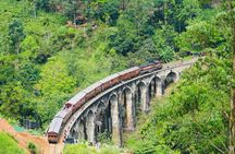 Day Tour at Sri Lanka Elephant Home and Little Adam's Peak