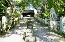 Explore the Sacred Past of Mount Yoshino from Osaka