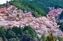 Explore the Sacred Past of Mount Yoshino from Osaka