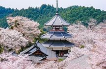 Explore the Sacred Past of Mount Yoshino from Osaka