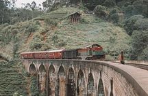 Day Tour at Sri Lanka Elephant Home and Little Adam's Peak