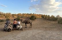 2 Day Yurt Camp and Aydarkol Lake Tour
