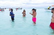Mnemba Snorkeling and Dolphins with Optional Lunch