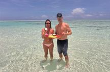 Mnemba Snorkeling and Dolphins with Optional Lunch