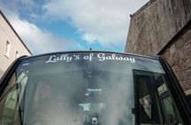 Shared Guided Small Group Tour from Galway to Inis Mór