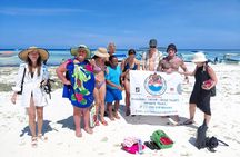 Mnemba Snorkeling and Dolphins with Optional Lunch