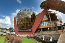 Full-Day Sightseeing Tour in Arusha 