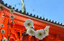 Mitaki Peace Tour Beyond Central Hiroshima