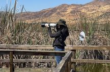 Half-Day Birdwatching Santiago: Wetland or Mountain