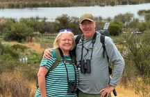 Half-Day Birdwatching Santiago: Wetland or Mountain