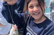 Deep Sea Fishing Adventure in Miami with Transportation Option