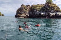 Turtle Island Private Tour 4 People with Lunch and Snorkeling