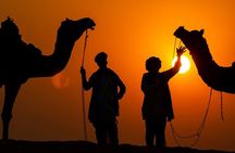 Marrakech : Agafay desert Full package ( everything is included )
