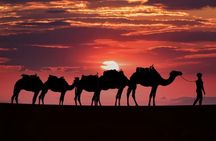 Marrakech : Agafay desert Full package ( everything is included )