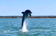 Private Hilton Head Sunset Dolphin Cruise Tour – Groups (7–15)