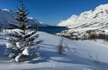 Tromso: Into the Fjord - Small Group Scenic Fjord Tour!