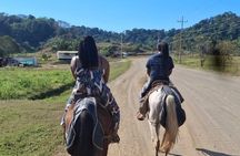 Guided Horseback Riding Tours on Jacó Beach Costa Rica