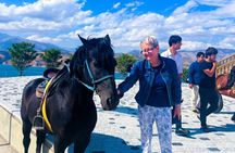 Tashkent Mountain Tour: Amirsoy, Chimgan & Charvak Private Trip