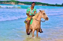 Beach Sunset on Horse Riding in Punta Cana(Private Option)