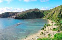 Ultimate Oahu Circle Island Sights & Bites Tour from Waikiki