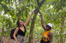 Boti Waterfalls Day Tour Aburi Gardens and Cocoa Farms