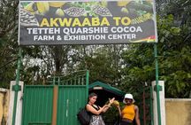 Boti Waterfalls Day Tour Aburi Gardens and Cocoa Farms