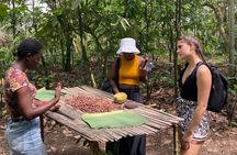 Boti Waterfalls Day Tour Aburi Gardens and Cocoa Farms