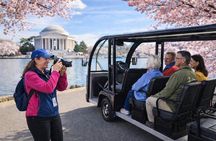 Washington DC Cherry Blossom Tour by E cart