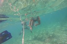 Private Costa Maya Snorkeling Tour with Beach Club and Transport