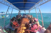 Private Costa Maya Snorkeling Tour with Beach Club and Transport