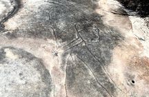 Sydney: National Park Hike, Aboriginal Rock Art & Oyster tasting