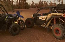 Explore the Marrakech Palm Desert in Buggy